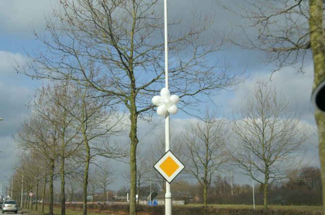 wittevalentijnsbruiloft10.jpg