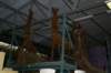 giraffen_small.jpg
