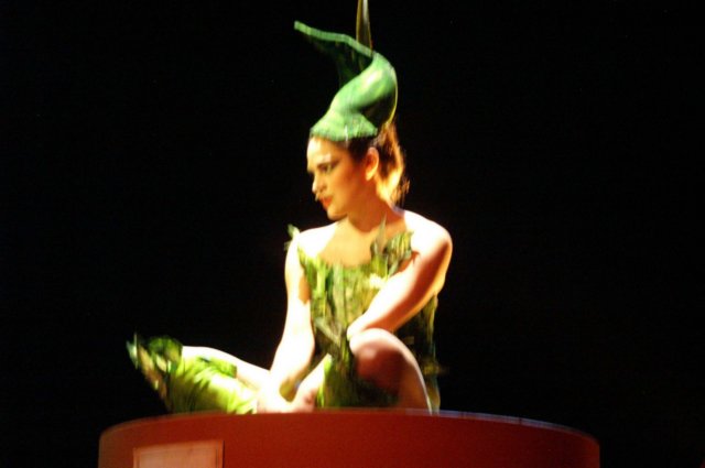 litlleshopofhorrors_theaterplan_2009_eindhoven352.jpg