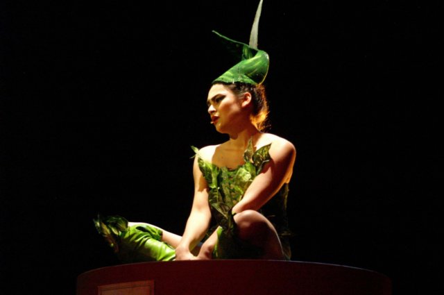 litlleshopofhorrors_theaterplan_2009_eindhoven353.jpg