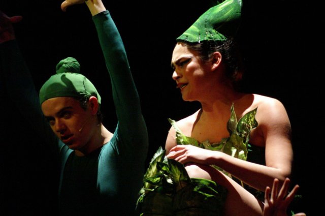 litlleshopofhorrors_theaterplan_2009_eindhoven355.jpg