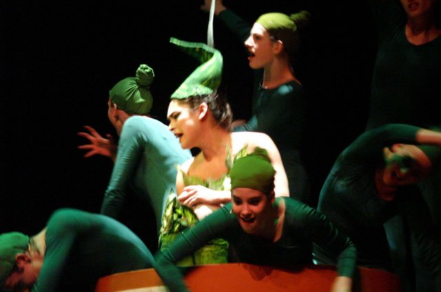litlleshopofhorrors_theaterplan_2009_eindhoven359.jpg
