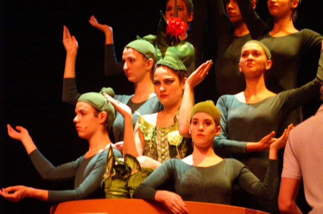 litlleshopofhorrors_theaterplan_2009_eindhoven391.jpg