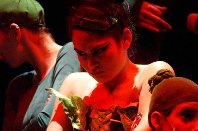 litlleshopofhorrors_theaterplan_2009_eindhoven486.jpg