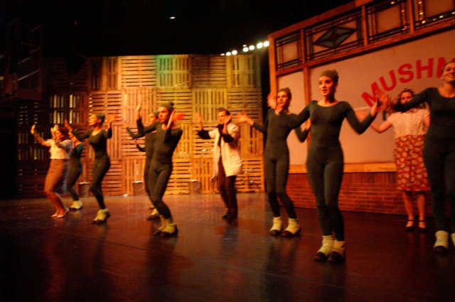 litlleshopofhorrors_theaterplan_2009_eindhoven538.jpg