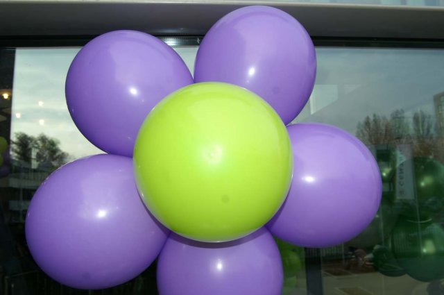 openingcentrickantoor200811.jpg