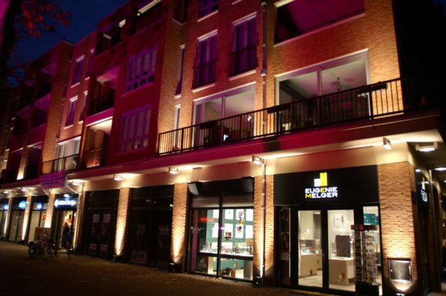 openingdeparelpanningen36.jpg