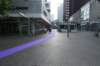 paarseloperbijdedagvandearchitectuurrotterdam20074_small.jpg