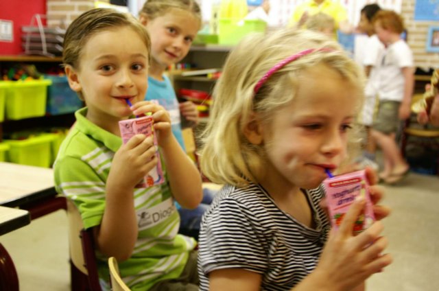 spektakeldagbasisschooldebrinkinleusdeneslevents79.jpg