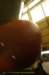 tewaterlatingshorewayihceslevents64_small.jpg