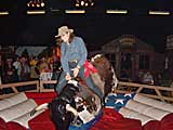 Huur een spectaculaire attractie op uw feest, huur een rodestier
